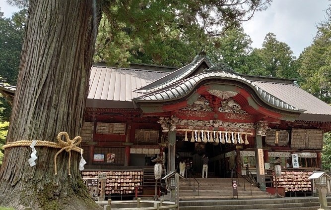 北口本宮冨士浅間神社　拝殿と富士太郎杉